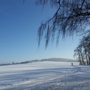 20170129 114013-large